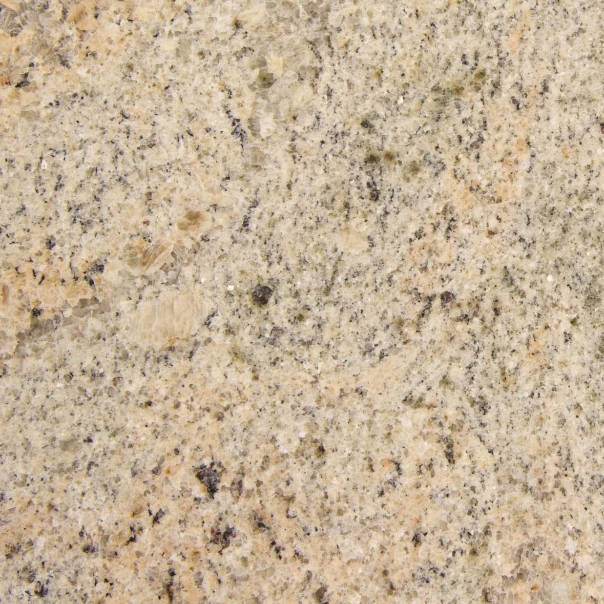 Cashmere Cream Granite