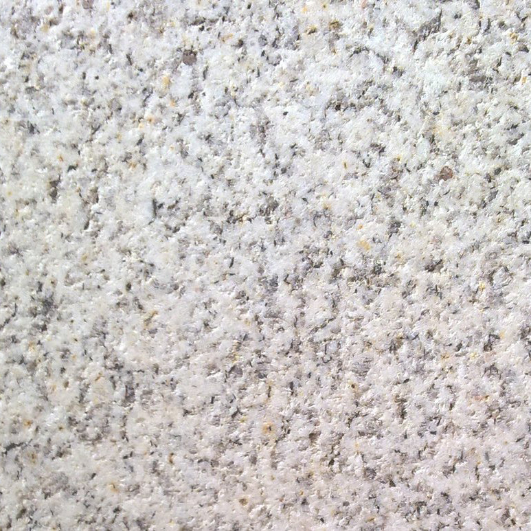 Shell White Granite